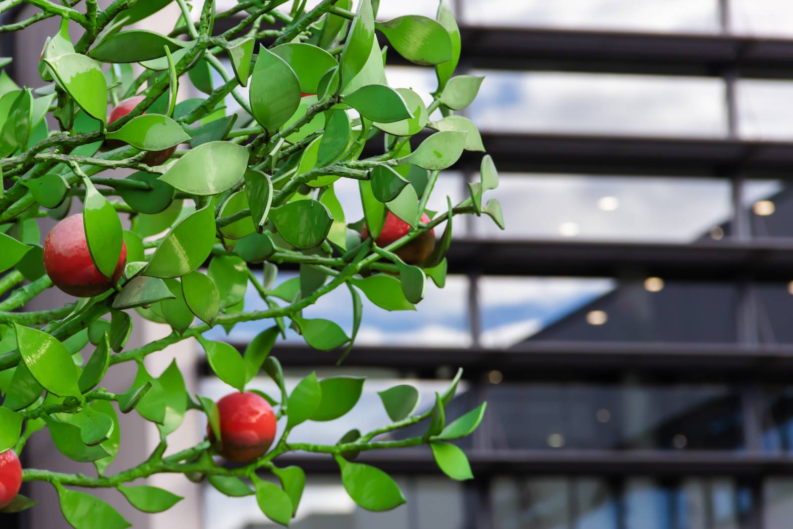 Elämänpuu Radius-rakennuksen edessä