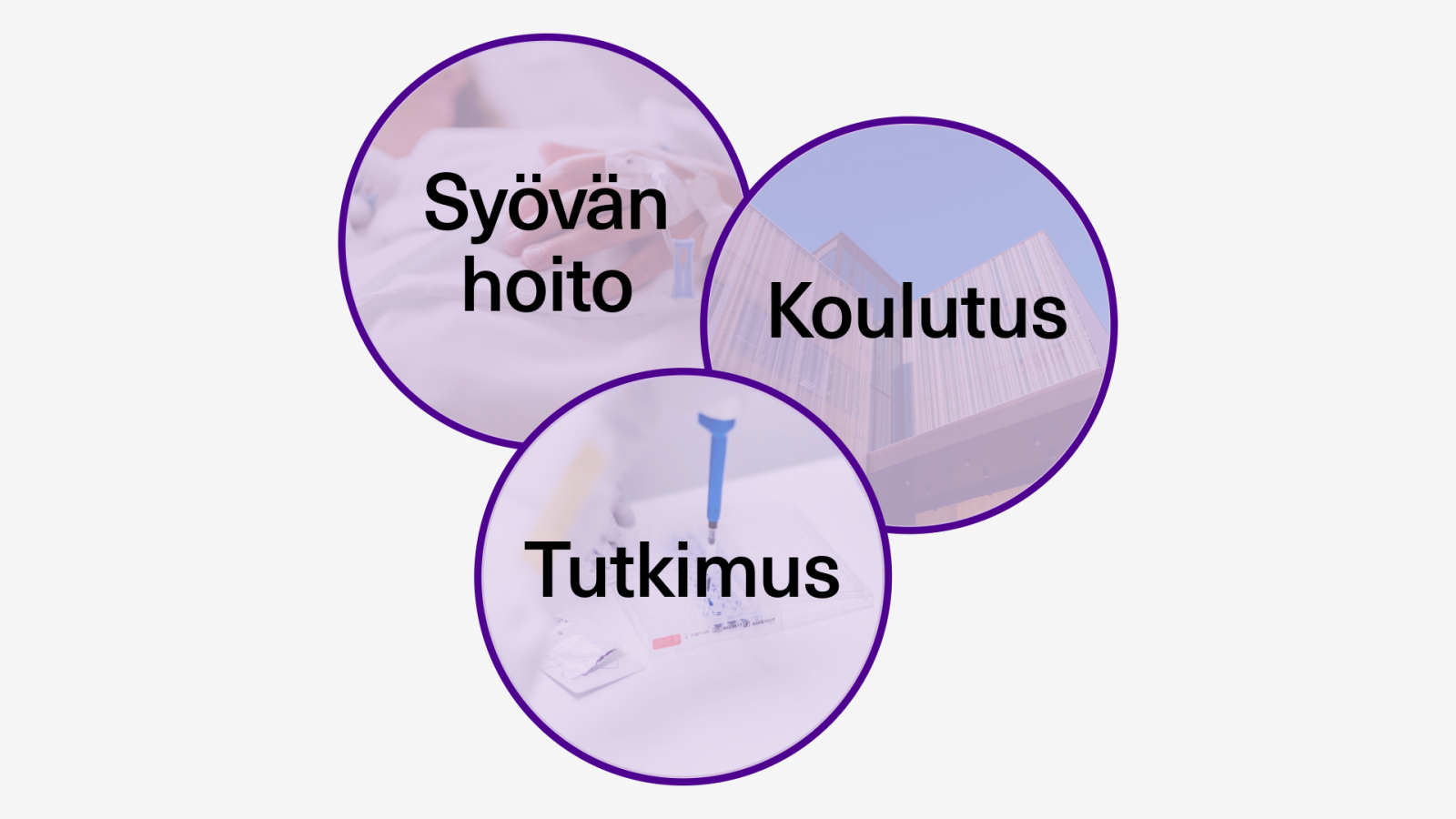 Pallot joissa lukee syövän hoito, koulutus ja tutkimus